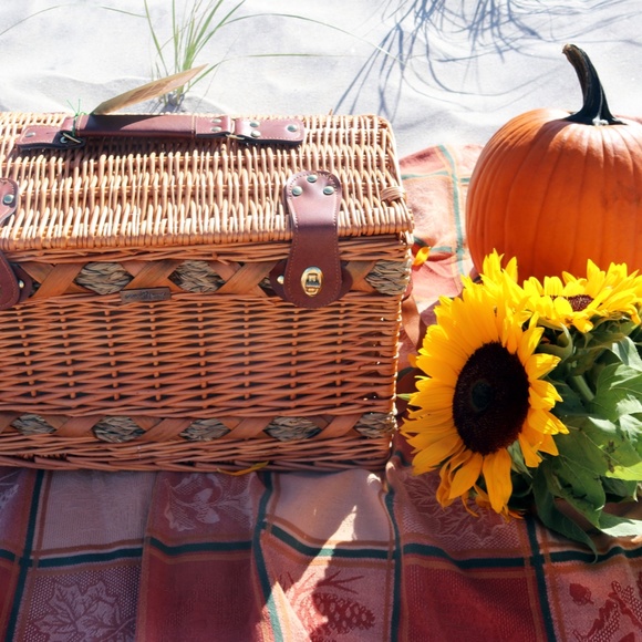 Luxury Treasure Chest Picnic Basket For Four - Picture 5 of 9